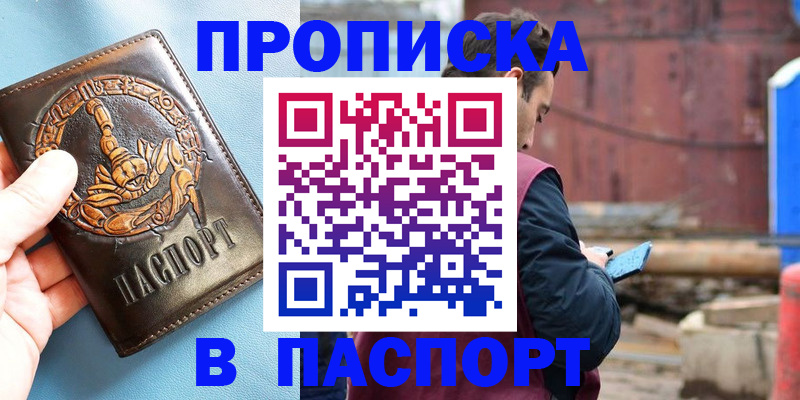 прописка в Бабаево